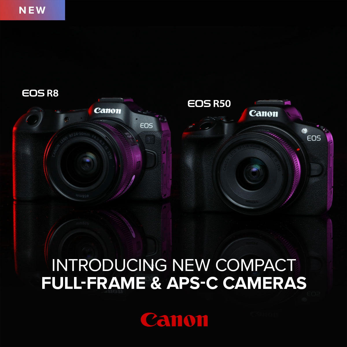 NEW Announcement CANON R8 & R50